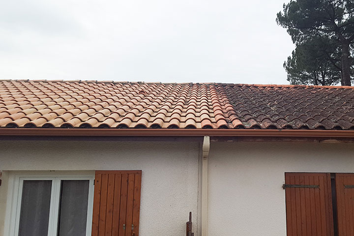 roof cleaning