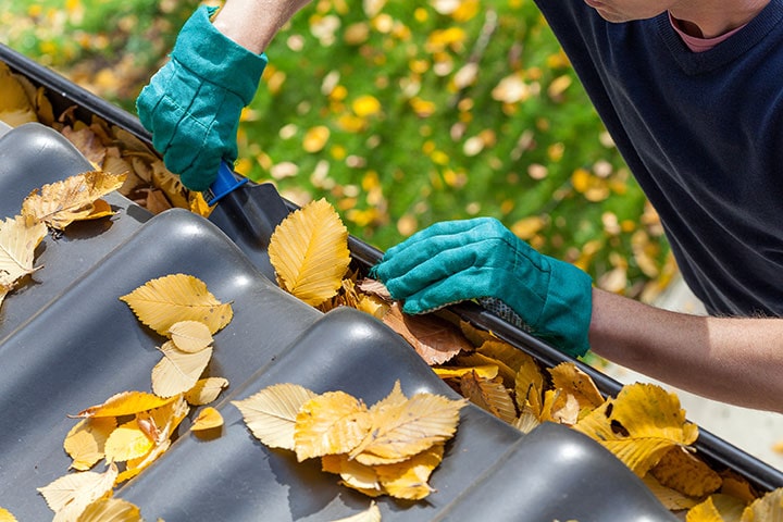 Gutter Cleaning Services in Austin, TX